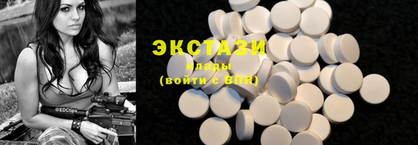 гашик Алексин