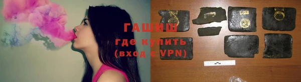 гашик Алексин