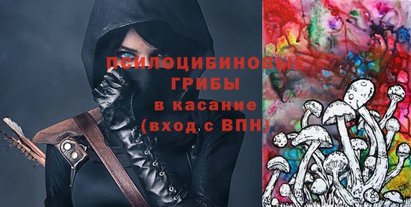 гашик Алексин