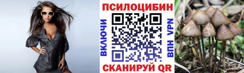 Псилоцибиновые грибы мухоморы Черемхово